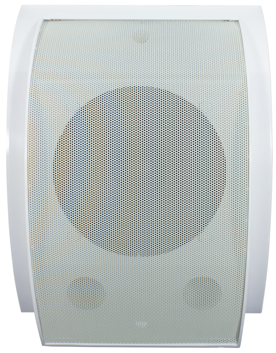 Громкоговоритель TSo-SW10b