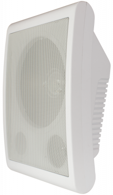 Громкоговоритель TSo-SW6a
