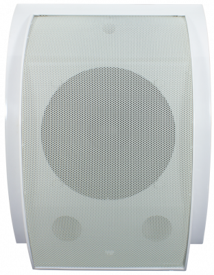 Громкоговоритель TSo-SW10b